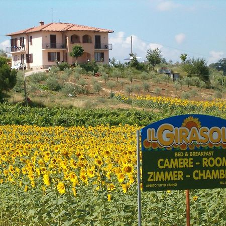 B&B Il Girasole - Rooms & House In Country - 1500 Meters From The City Montepulciano Luaran gambar