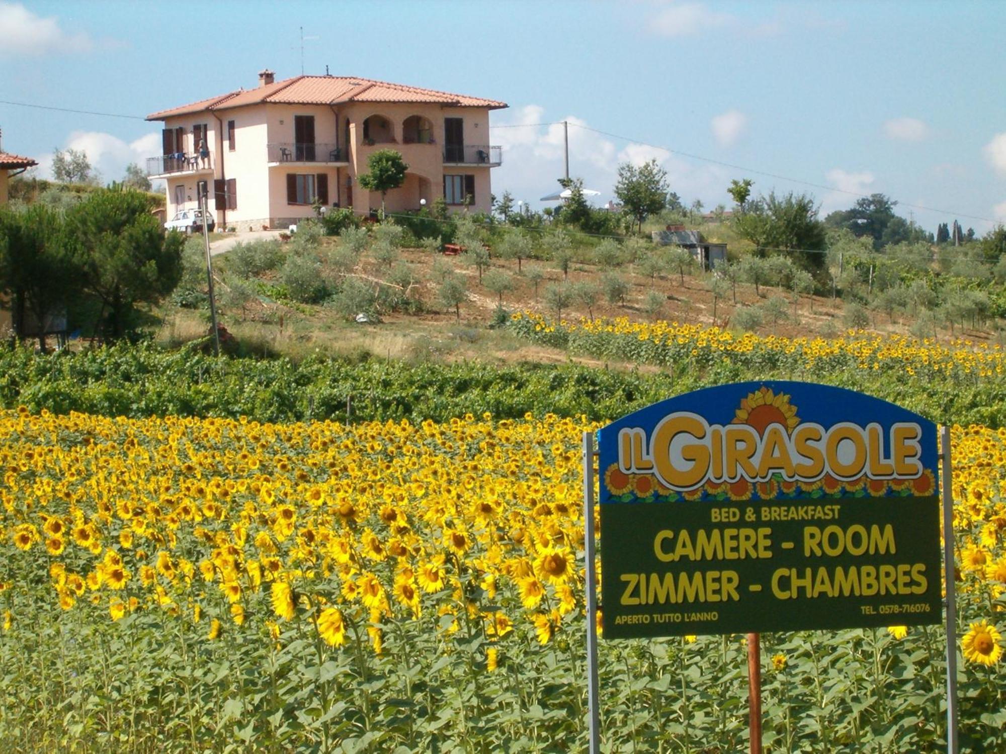 B&B Il Girasole - Rooms & House In Country - 1500 Meters From The City Montepulciano Luaran gambar