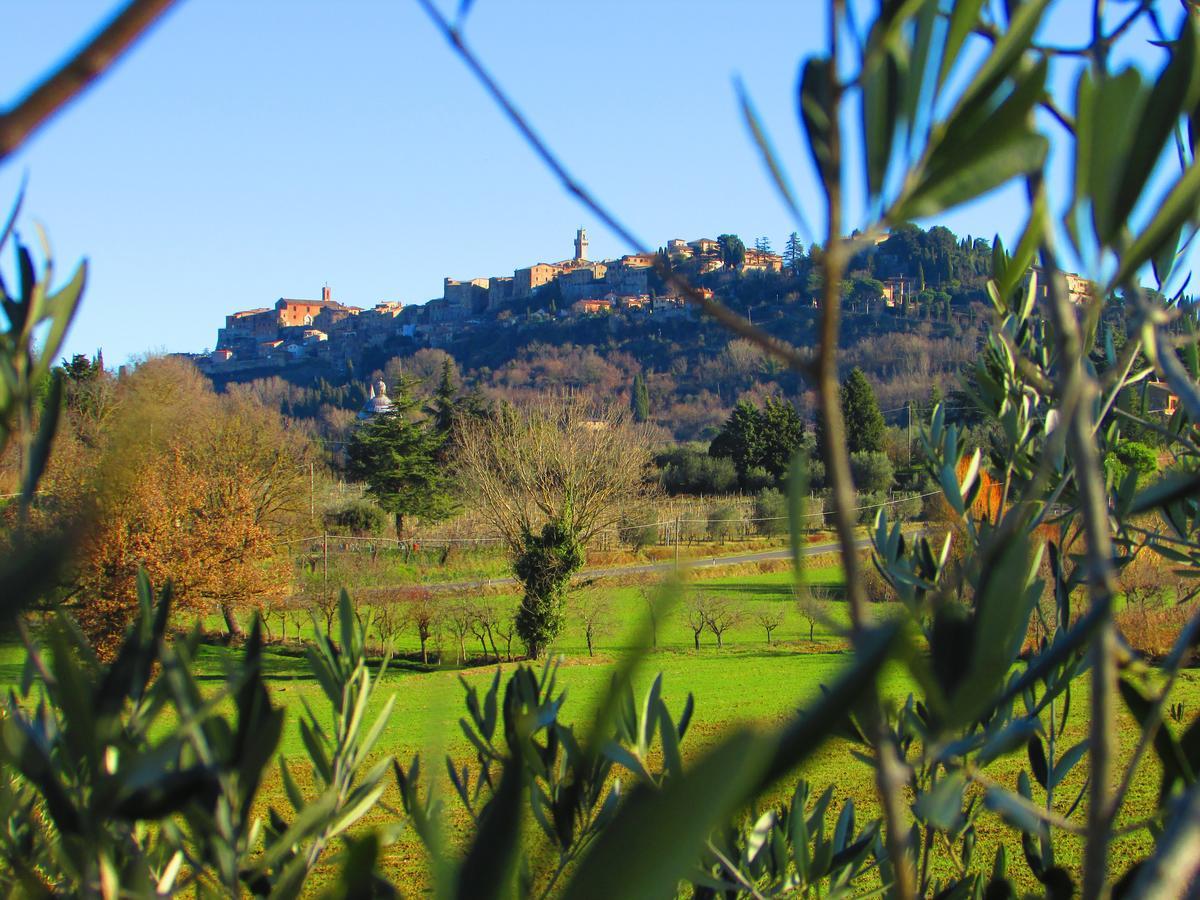 B&B Il Girasole - Rooms & House In Country - 1500 Meters From The City Montepulciano Luaran gambar
